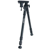 VANGUARD Equalizer 2 Pastorał