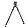 VANGUARD Equalizer 2QS Pastorał