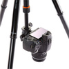 Vanguard Nivelo 245BK - statyw fotograficzny / czarny