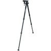 VANGUARD Equalizer 2 Pastorał