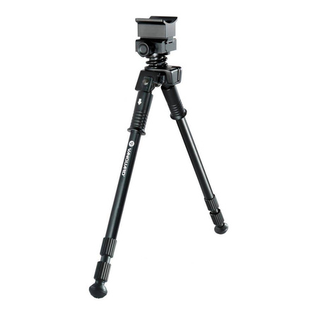 VANGUARD Equalizer 2QS Pastorał